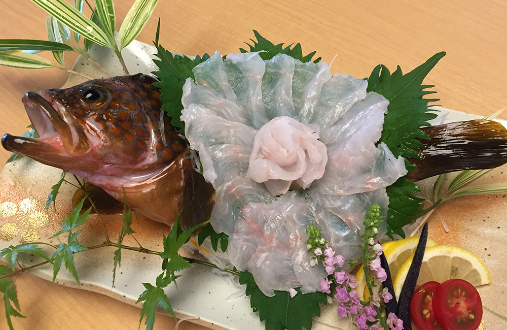 みなと新世多度津店